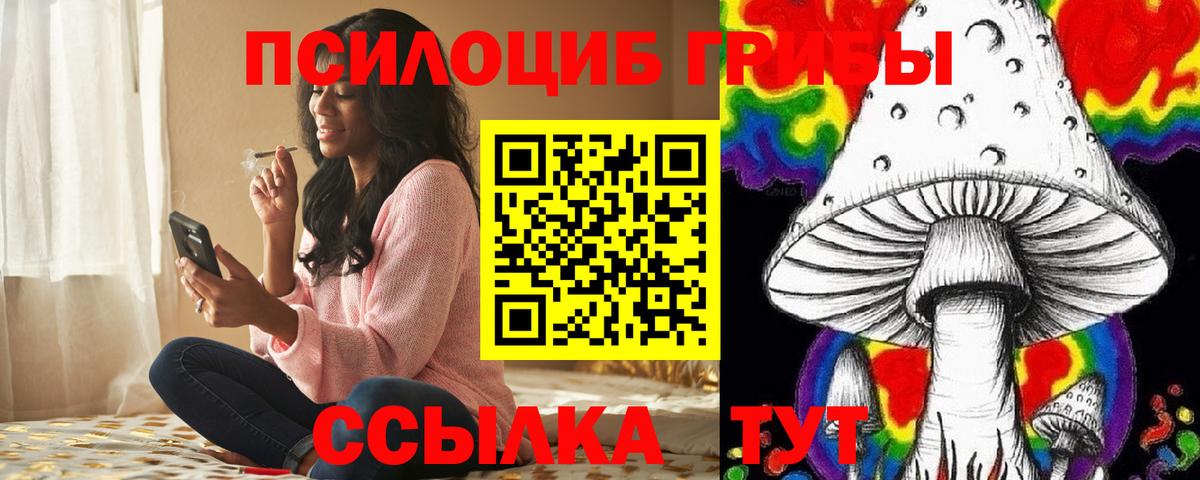 Саров  Галлюциногенные грибы мицелий  магазин  наркотиков  Галлюциногенные грибы Psilocybe  Вход с VPN 