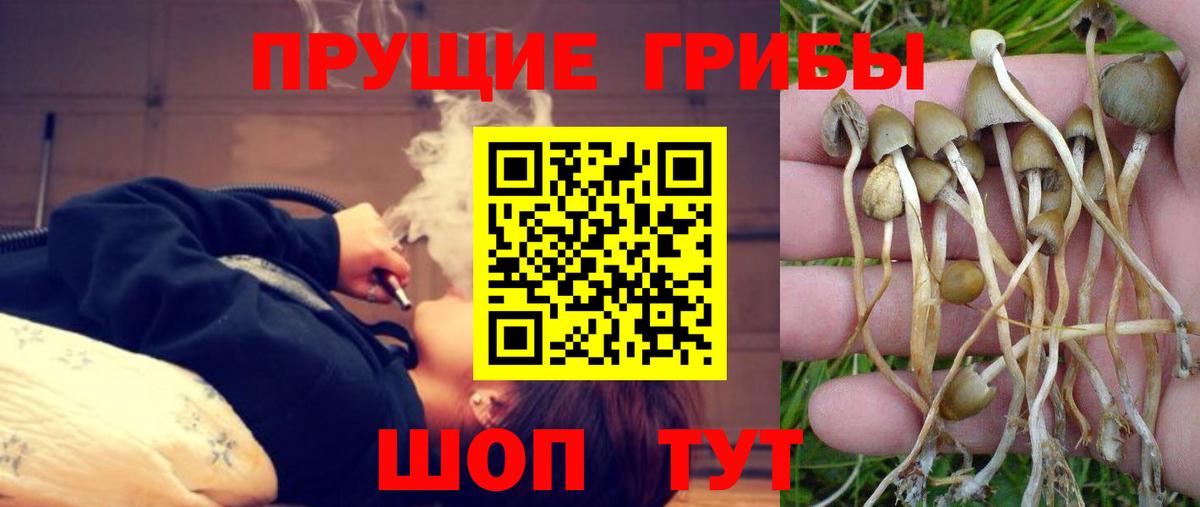 Псилоцибиновые грибы мухоморы Саров